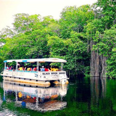 Review Special Price Black River Safari Ys Falls Guided Tour With Lunch Admission From Negril