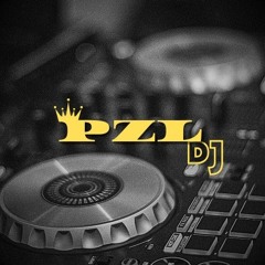 MONTAGEM MC MAGRINHO (DJ's PZL,2C, RDS)