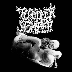 Toddler Stomper - Body Broker (2025 Goregrind)