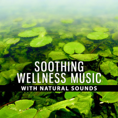 Spa Day at Home (Music for Spa Dreams)