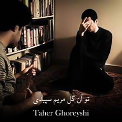 تو آن گل مریم سپیدی