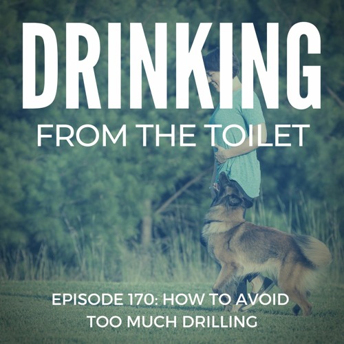 Stream 170 How To Avoid Too Much Drilling by Drinking from the Toilet