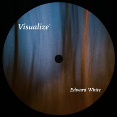 Visualize
