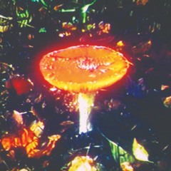 Dave De Rose & Dan Nicholls - Arts Of Living (TS Premiere)