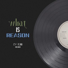 WHAT is REASON? ( DISCO MIXTAPE )
