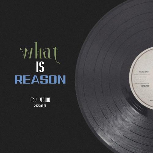 WHAT is REASON? ( DISCO MIXTAPE )