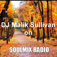 SMR Monday Mid-Day House Mix No.166