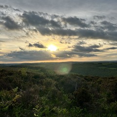 strictly seshing💠