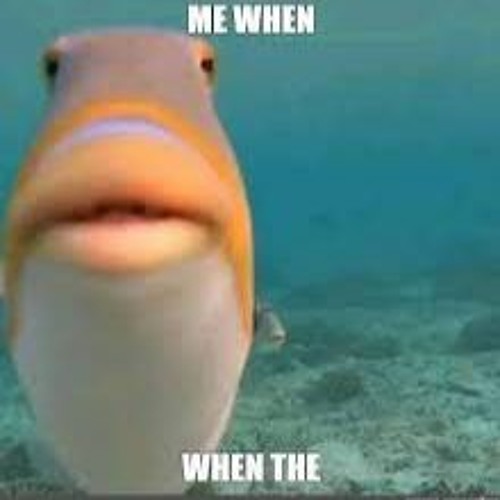 Me when the when the (very official ben saphiro music)