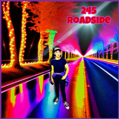 245 Roadside