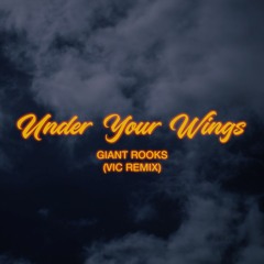 Giant Rooks - Under Your Wings (VIC Remix)