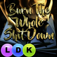 Bully (Burn The Whole Shit Down)