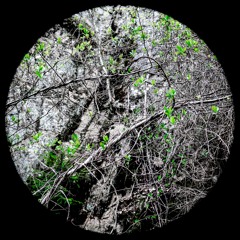 Skoltrom - Live DJ February @ Kellari Rasta