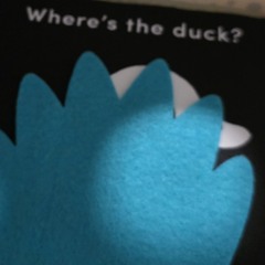 2 Duck Brother