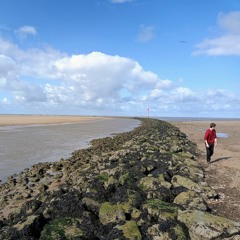 because my dad promised me