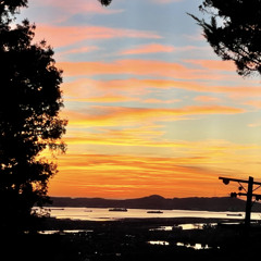 The Crossover-Katya Amor