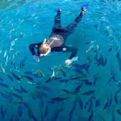 Review Special Price Full Day Snorkeling At Talu Island From Hua Hin Including Lunch