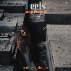 Feels By Key Notez (prod. by djphatjive)