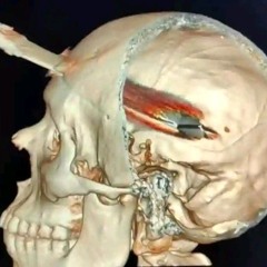 Kailerr - Brand New Song.