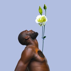 Up Prod. by DreamLife