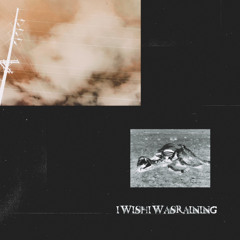 And the Dam Finally Broke