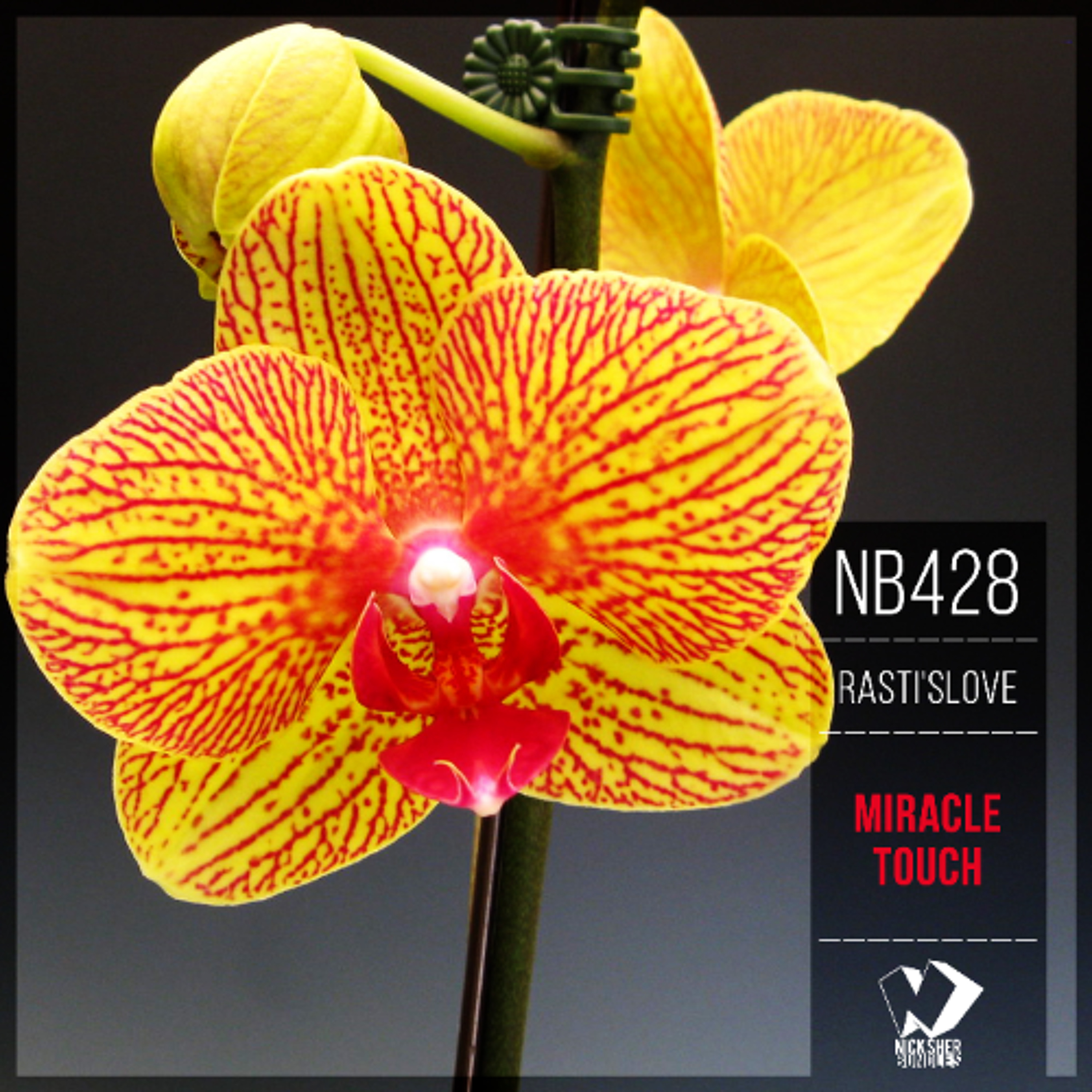 Rasti'sLove - Miracle Touch (Vocal Dub Mix) episode artwork