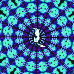 Luvolin - Don't Forget To Stay Rookie (Original Mix)