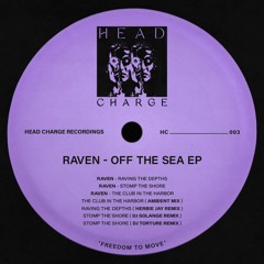 RAVEN-Stomp The Shore (DJ Torture Remix)