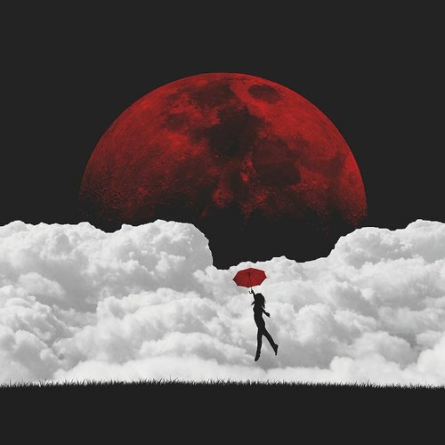 Fly Me 2 The Moon