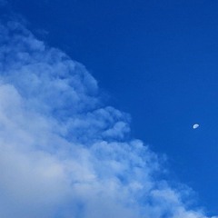 You trust in Heavens angels...remastered blues..m4a