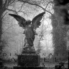 Discarnate - Angel 613