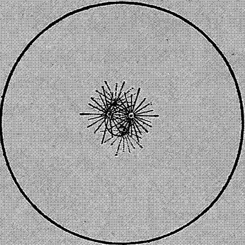 Volcolundi Acid (V2)