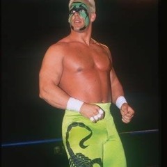 1stinger by Westside Gunn