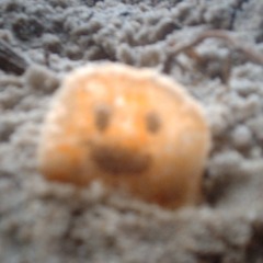 laughterr
