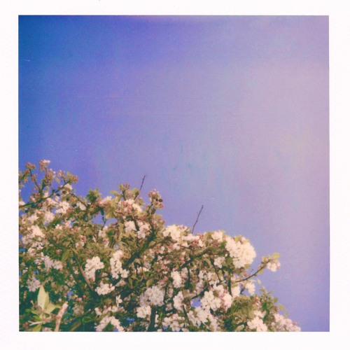 I Don't Like the Problems I Attract (prod. Robin Cause)