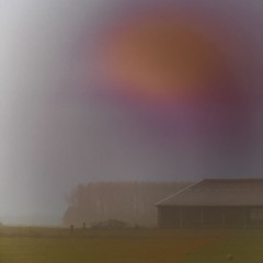 Fogg