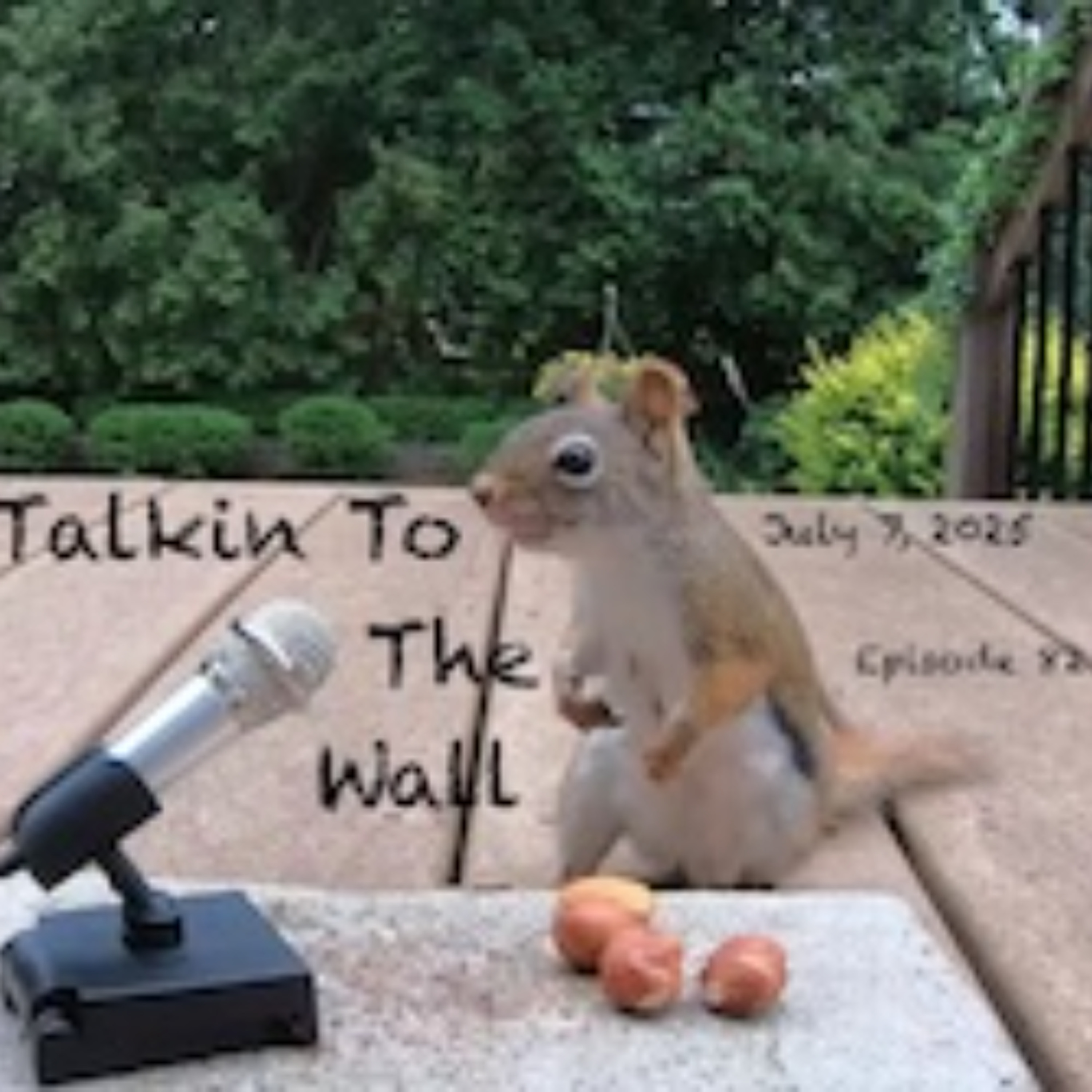 Talkin to the Wall, Episode 82, July 11, 2025 episode artwork
