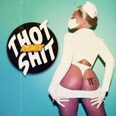 Megan Thee Stallion - Thot Shit (Will Cigno Remix)