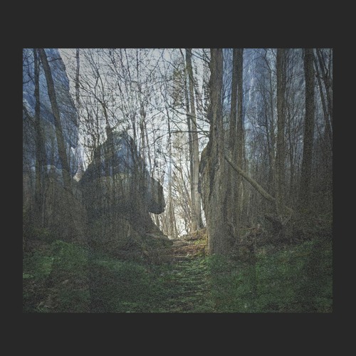 Script Recycled x floopy - the process of vanishing