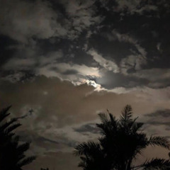 قصيدي ما يعرف إلّا إسمك