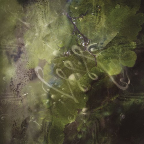 Stream Aurora | Listen to Beta playlist online for free on SoundCloud