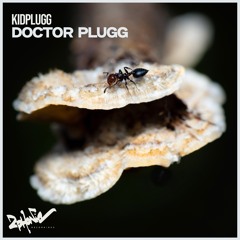 KIDPLUGG -Doctor Plugg
