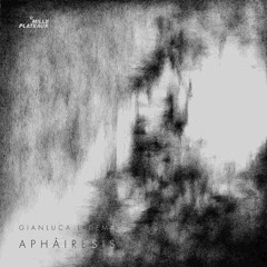 Morphe