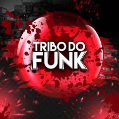 MTG - TRIBO DO FUNK  002 - MC NANDINHO, DEZOITINHO, GW E ROMÂNTICO [DJ ALFA MPC E DJ VAVAT] (2)