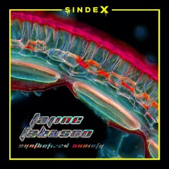 CRUDE Premiere: Tajine Tabasco - Synthesized Society [SINDEX003]