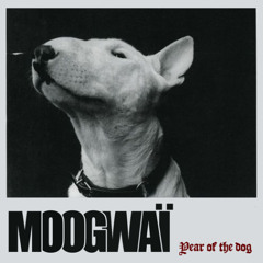 DOGmatik theory (Remastered)