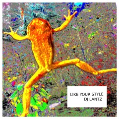 Like Your Style