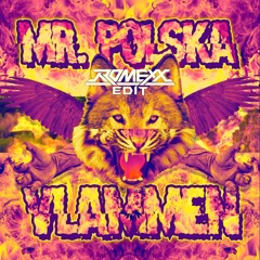 Mr. Polska - Vlammen (Romexx Edit) *FREE DOWNLOAD* (Preview)