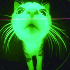 are you ready [FREE DL]