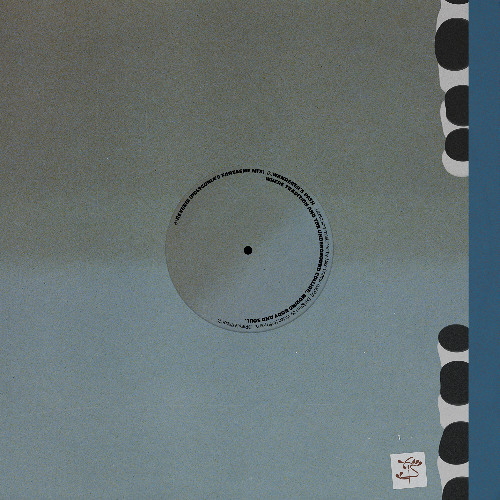 B3_Nesa Azadikhah - Let's Not Dance
